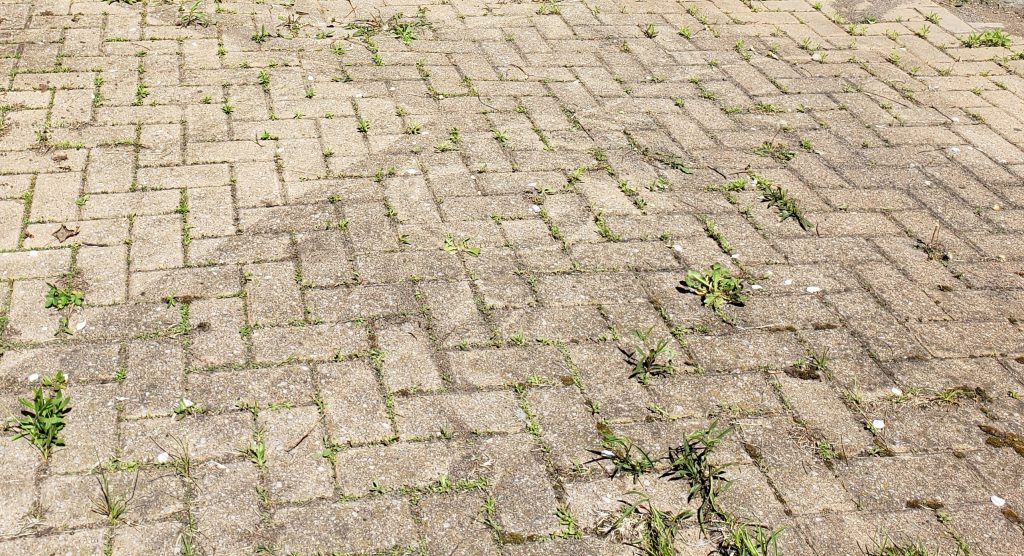 20200523_110624-1024×556 20200523_110624-1024x556