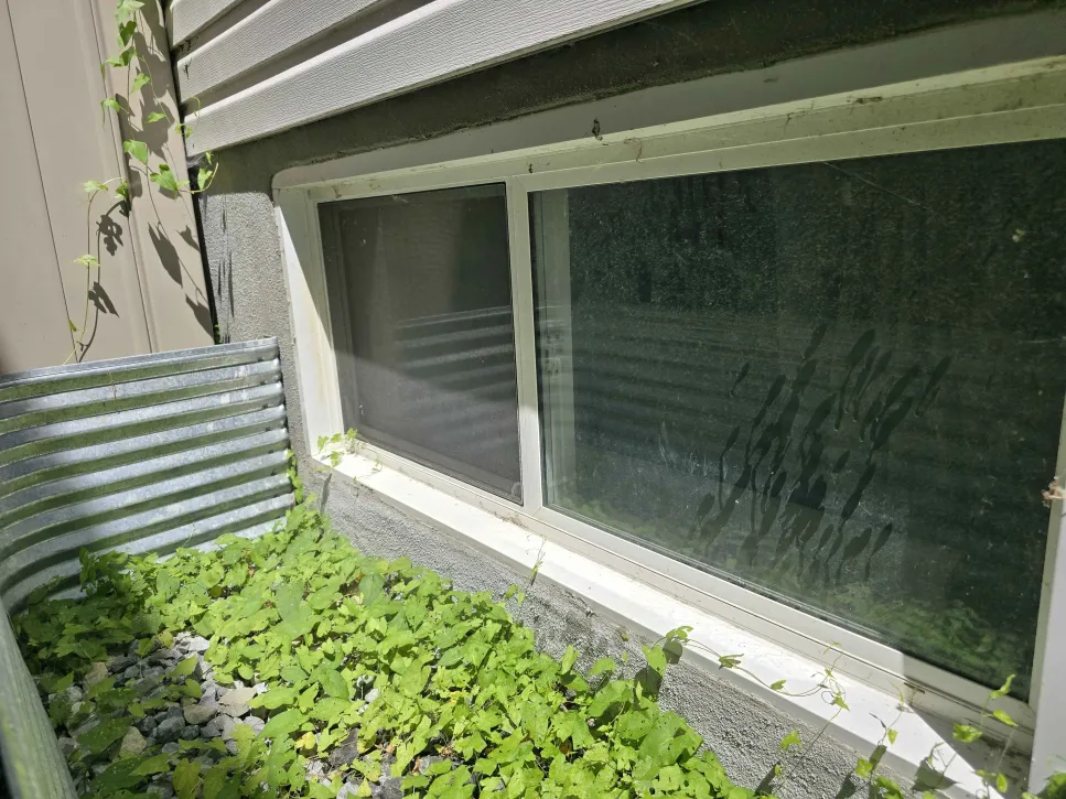 20250723_124726 20250723_124726