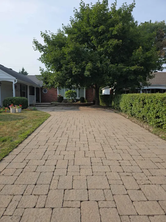 781d129b-357b-41b7-bfcf-717dba7a8454