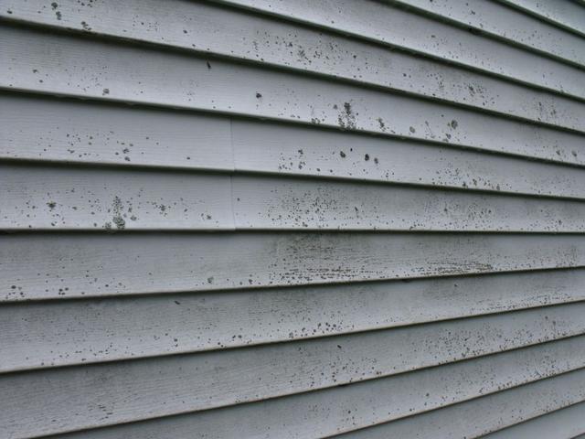 Dirty siding 1 Dirty siding 1