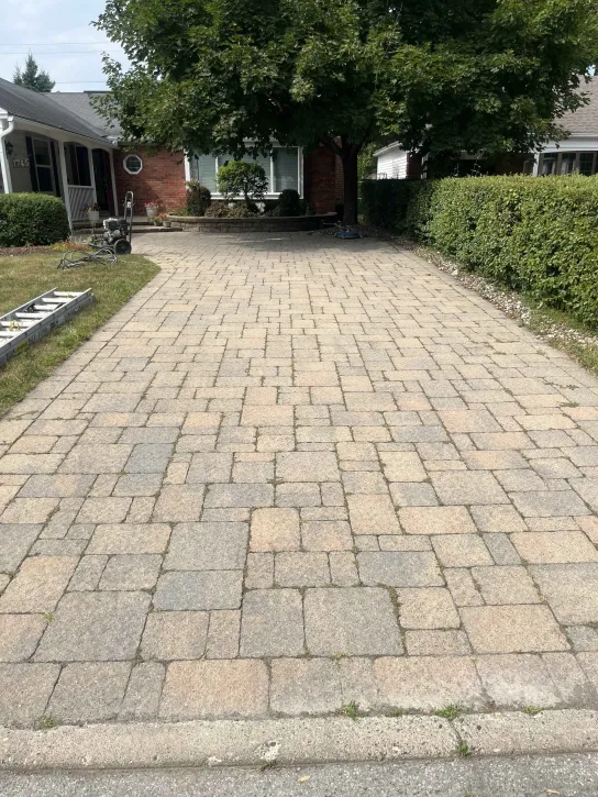 IMG_20250730_180940 IMG_20250730_180940